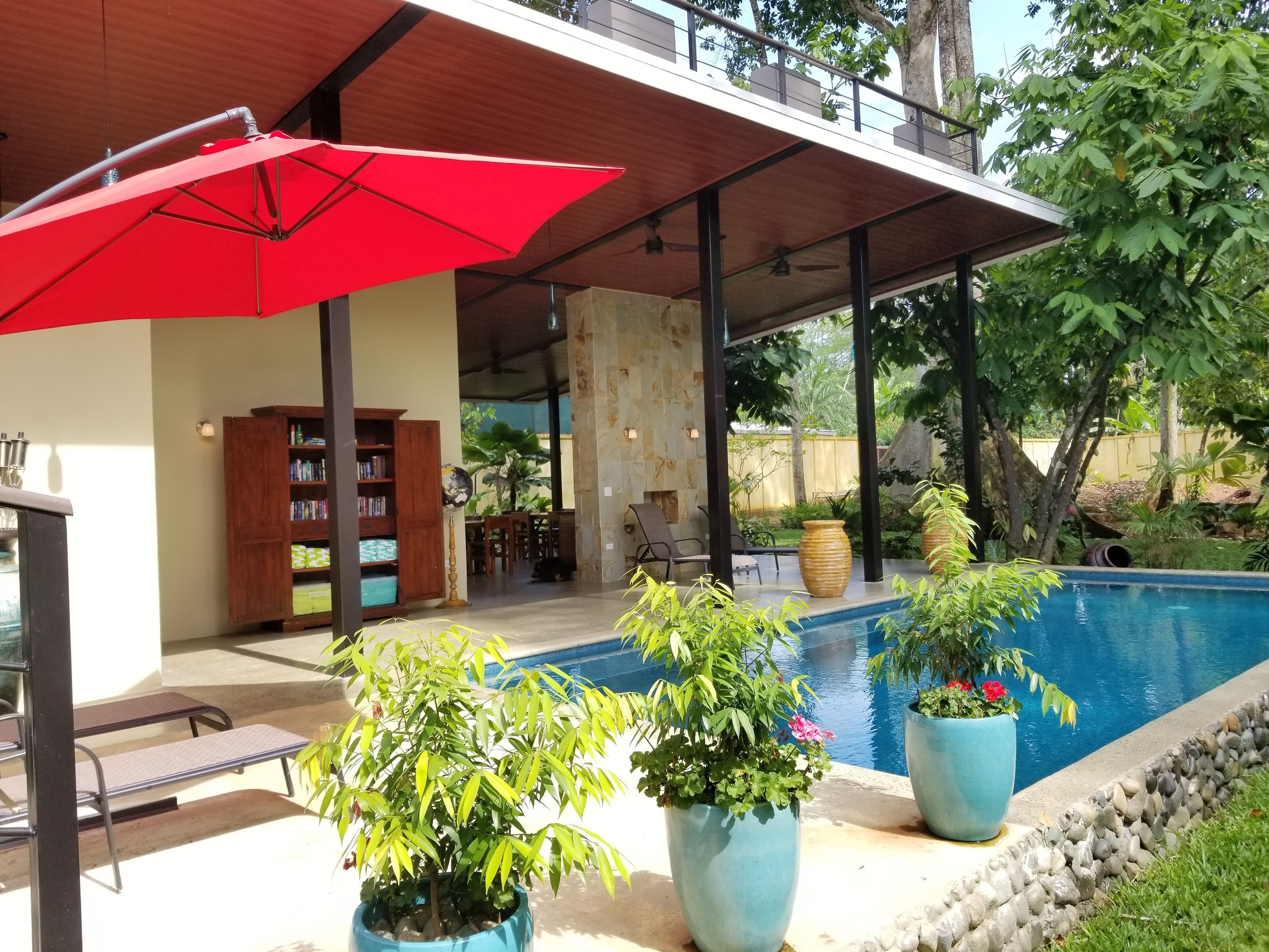 Outdoor pool, sun loungers