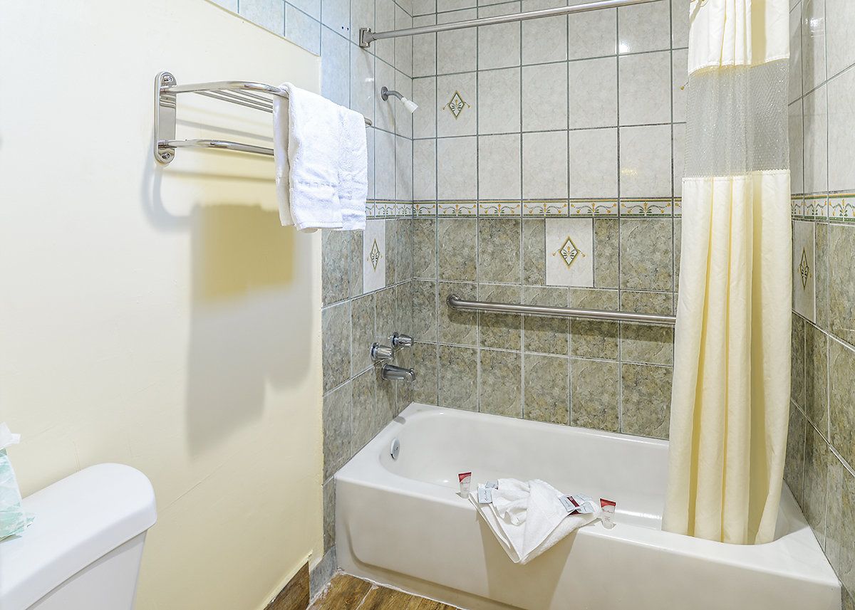 Ein Badezimmer mit einer Badewanne, einer Toilette, einem Handtuchhalter und einer Duschvorhang.