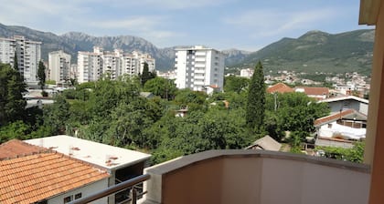 Apartment Pucurica II