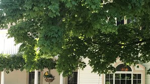 A house with a porch, a white chair, and a garden with rocks and plants. - Martha's Vineyard Bed & Breakfast (South Haven)