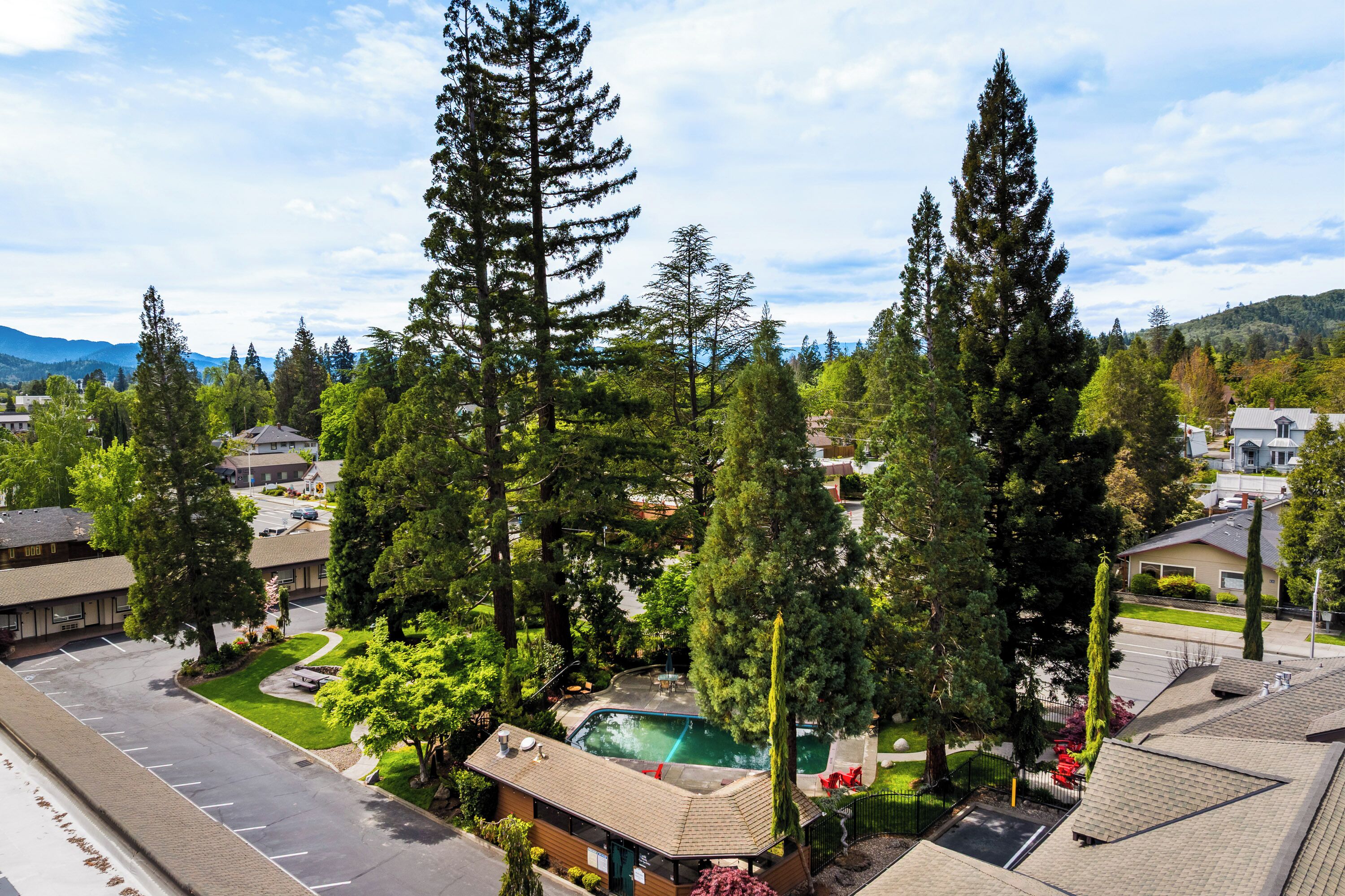 A residential area with a swimming pool, large trees, and houses.