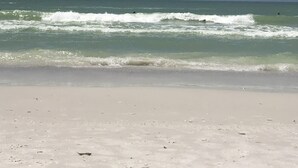 Ein Strand mit blauem Himmel und ruhiger See.