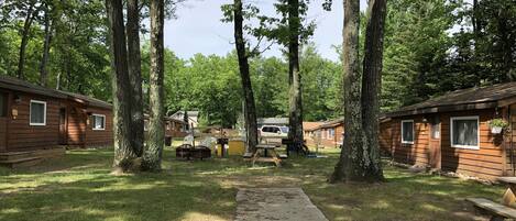 Un camping con cabañas de madera, un camino de hormigón y mesas de picnic.