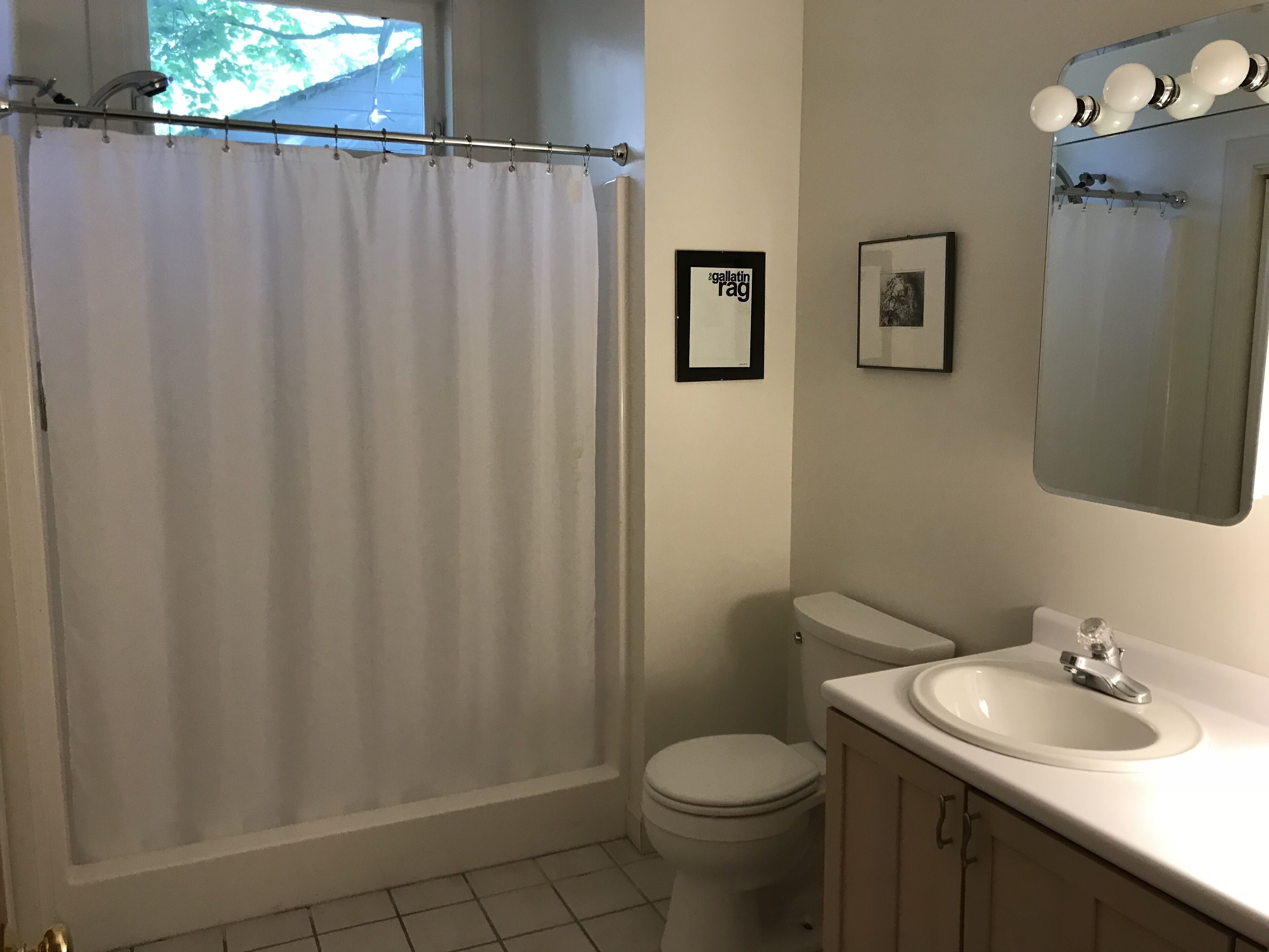 Shower, hair dryer, towels, toilet paper