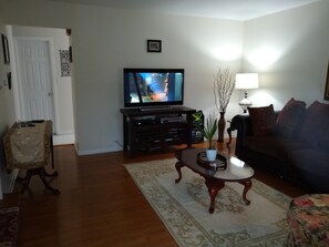 TV, fireplace, DVD player, books