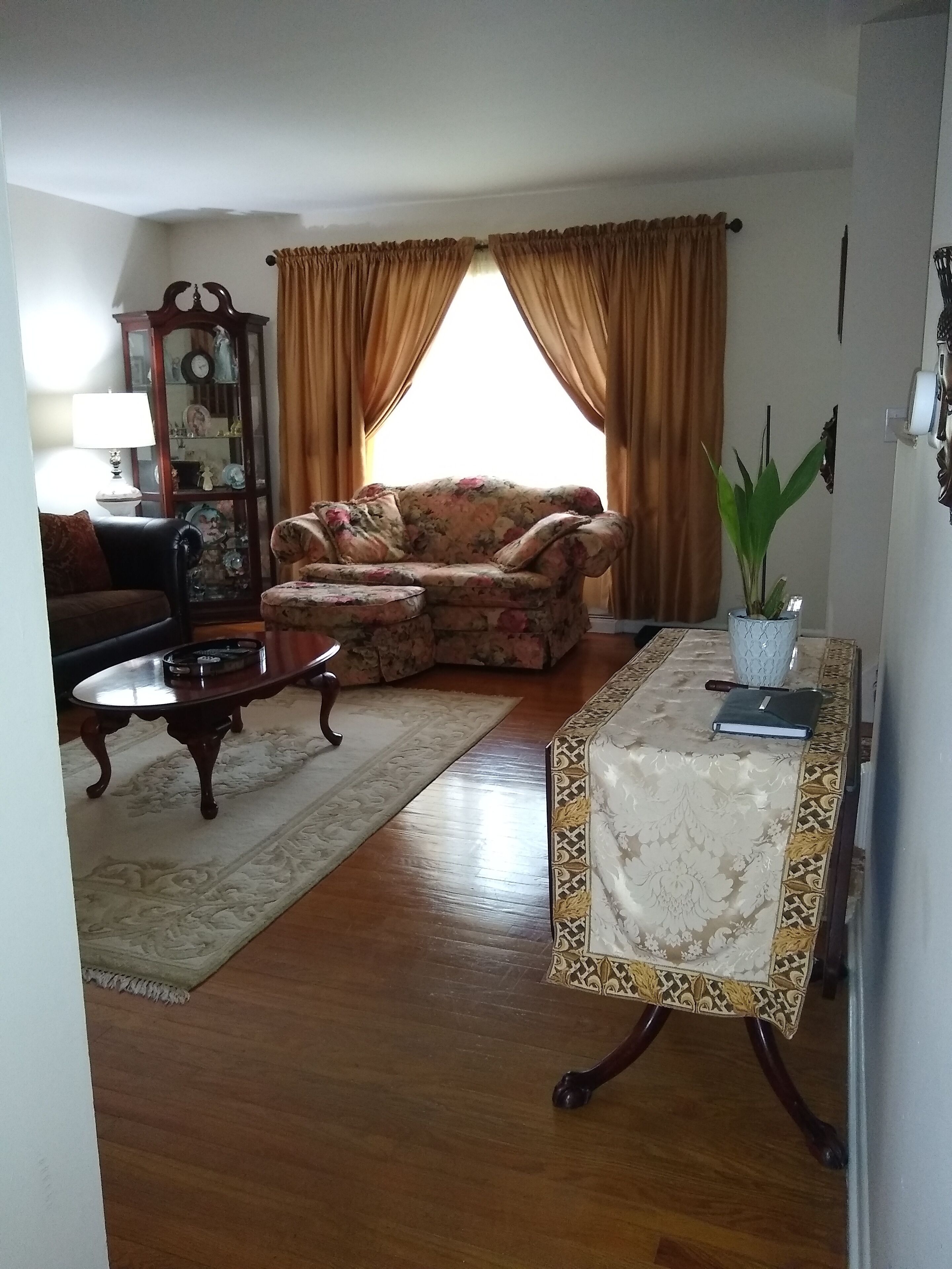 电视、壁炉、DVD 播放器、书