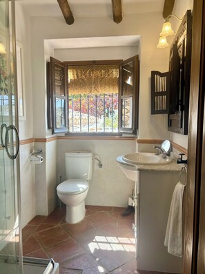 Combined shower/bathtub, hair dryer, bidet, towels