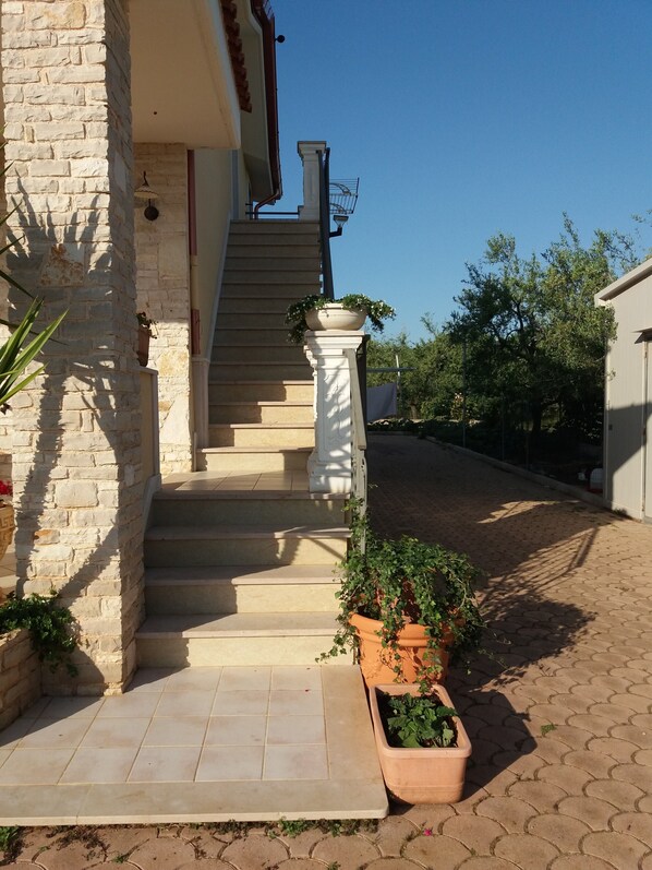 A stone staircase leading to a building entrance, with potted plants at the base.