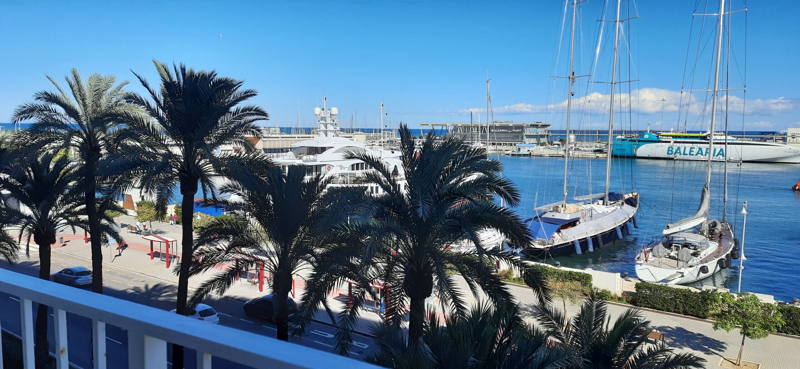 A marina with boats docked, palm trees, and a clear blue sky.