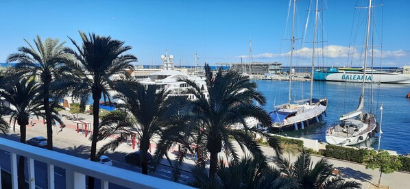 Un puerto deportivo con barcos amarrados, palmeras y un cielo azul despejado.