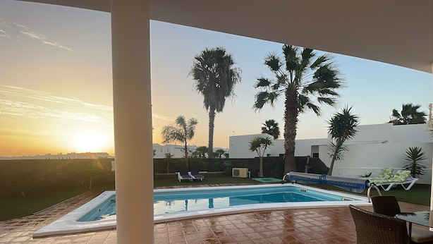 A swimming pool with a tiled deck, lounge chairs, and palm trees.