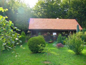 Ulkopuoli