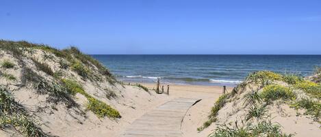 Strand