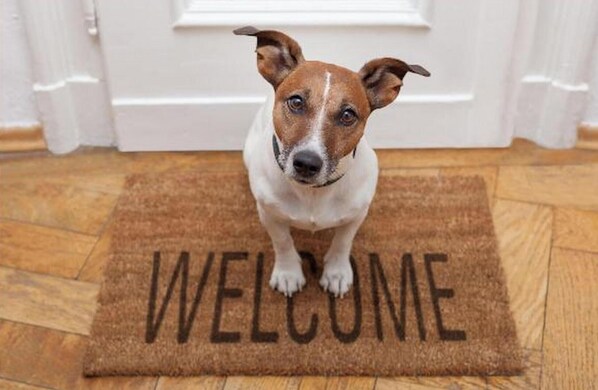 Animaux de compagnie acceptés