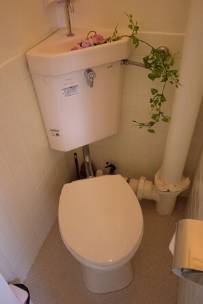 A toilet with a white seat and tank, a visible water pipe, and a small plant on the tank.