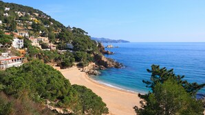 A coastal town with a sandy beach, dense greenery, and buildings on a hillside.