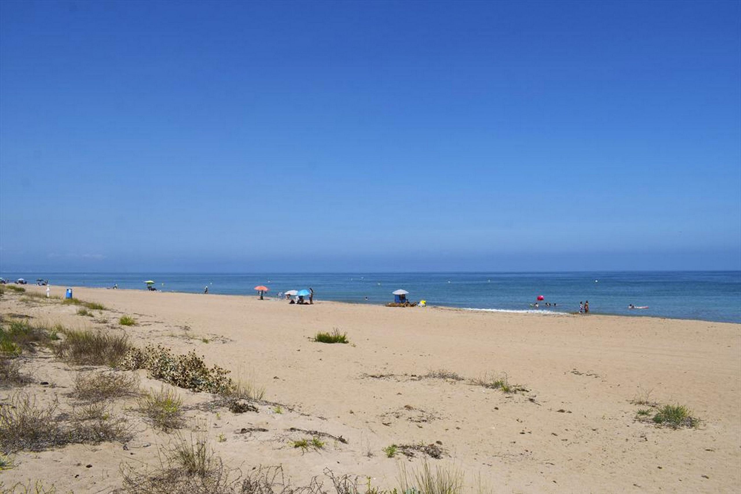 A beach with clear skies, a sandy shore, and a few umbrellas.