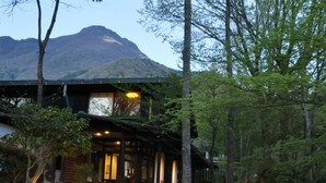 Exterior detail - Auberge Kunugiya (Yufu)