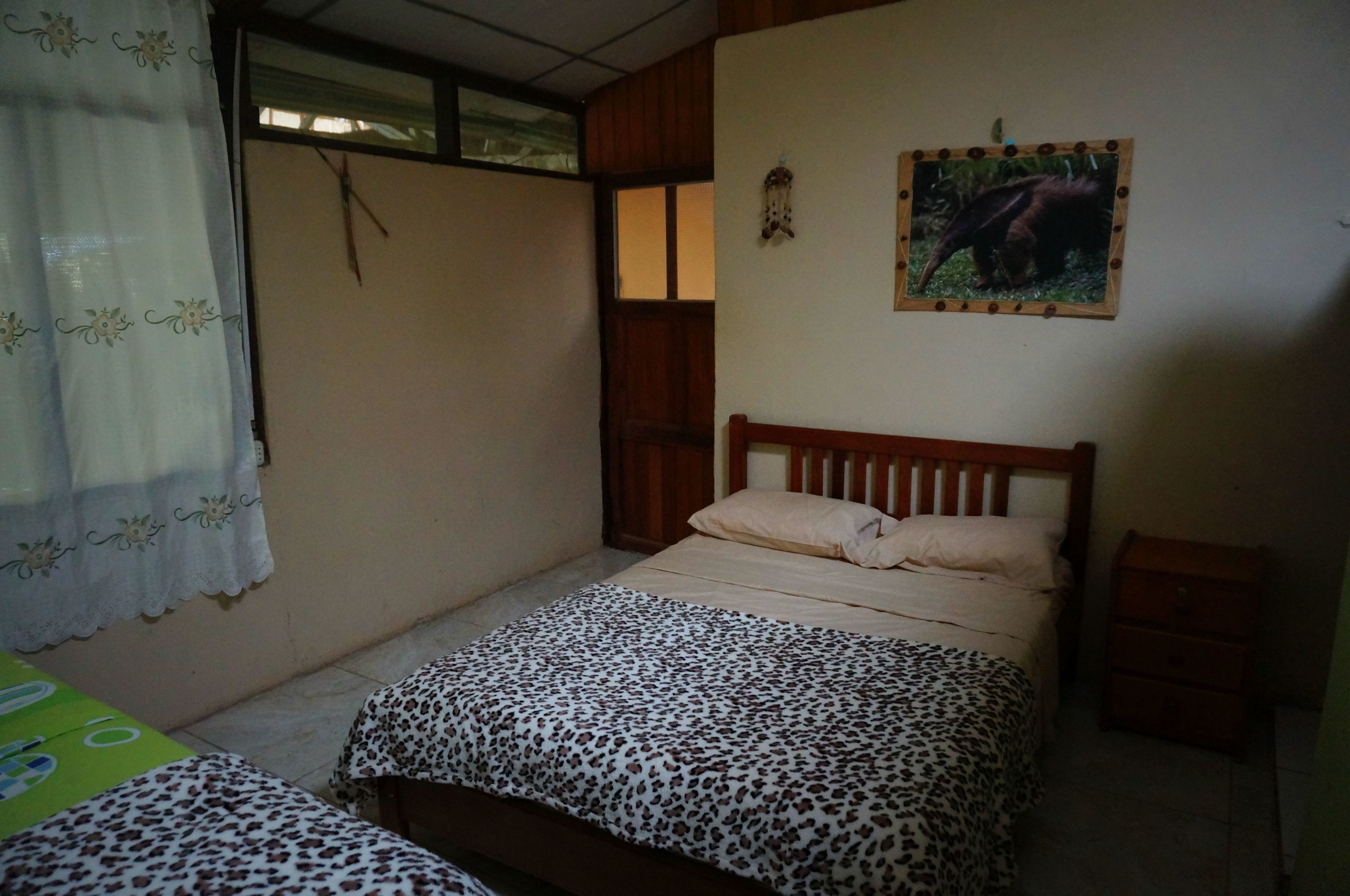 Foto - Villa Hermosa de Tambopata Casa Hospedaje & Hostel