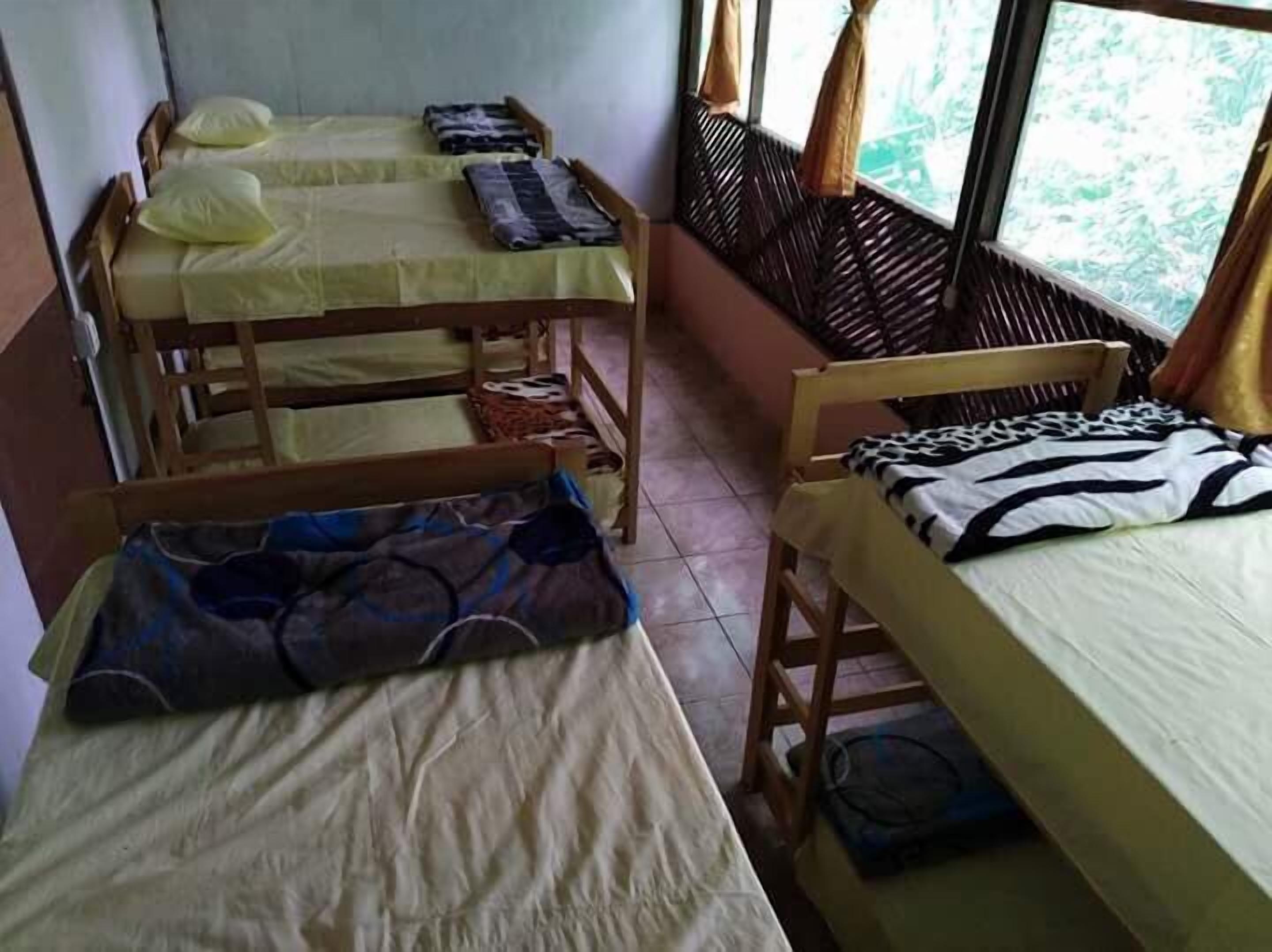Foto - Villa Hermosa de Tambopata Casa Hospedaje & Hostel