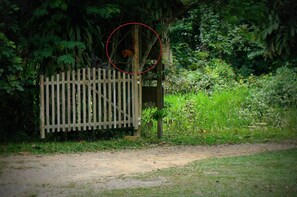 A wooden gate in a lush green area with dense foliage and a dirt path. - Villa Hermosa de Tambopata (Tambopata)