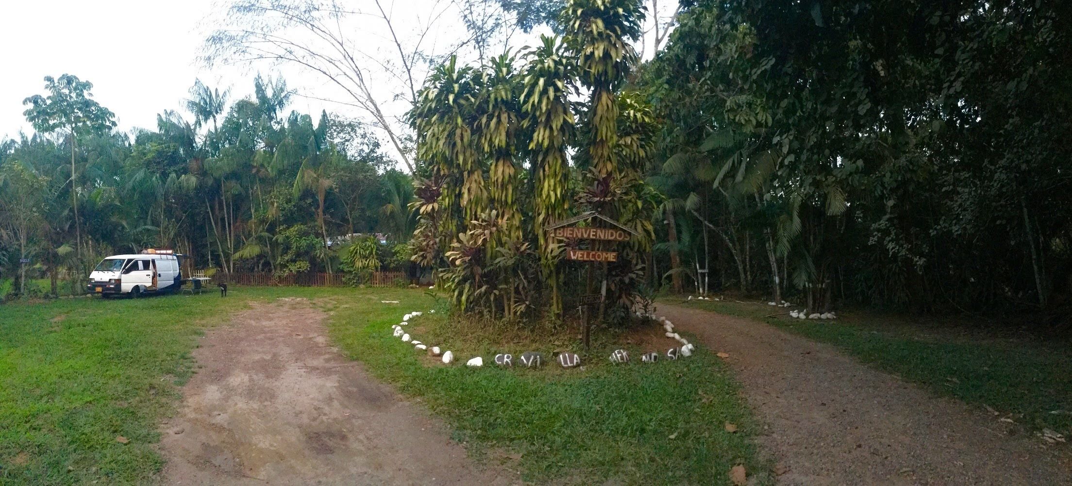 セルフパーキング (無料)