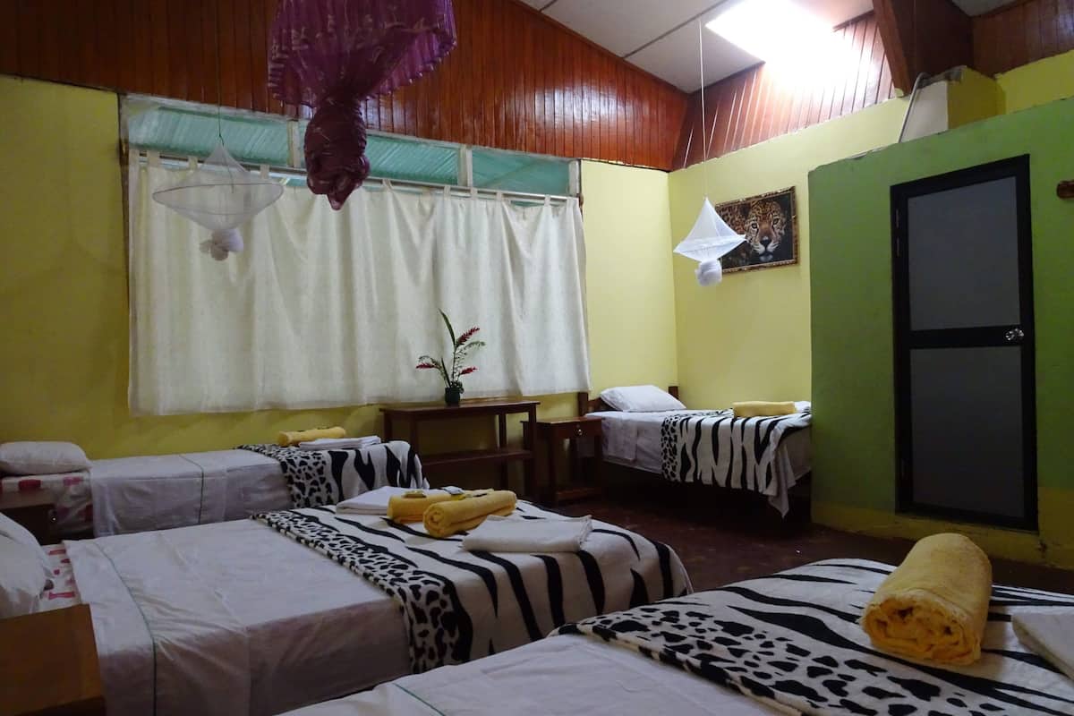 Habitación de hotel con cuatro camas, cada una con cubrecama estampado con diseño de cebra. Hay una mesita con un jarrón de flores, una mosquitera colgante y un cuadro en la pared.