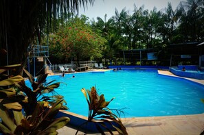 Outdoor pool, sun loungers