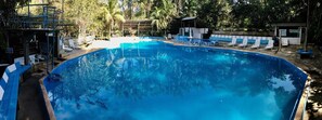 A swimming pool with a blue border, surrounded by lounge chairs and a covered area. - Villa Hermosa de Tambopata (Tambopata)