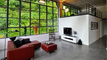 Smart TV, libros, biblioteca de música, videoteca