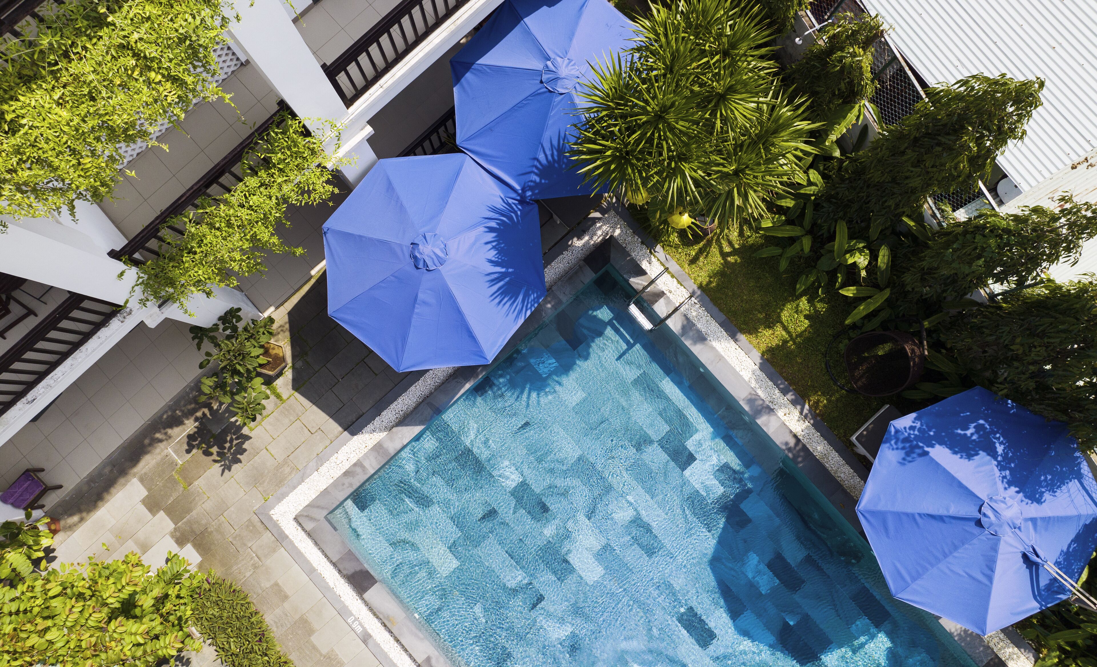 Foto - White Lotus Hotel