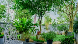 Taman