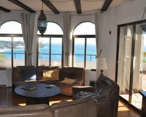 Smart TV, fireplace, DVD player, books