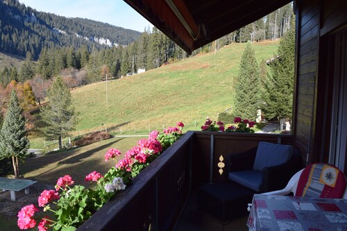 Beatenberg, large, quiet 1 room apartment Wi-Fi / WLAN, balcony, view
