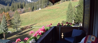 Beatenberg, large, quiet 1 room apartment Wi-Fi / WLAN, balcony, view