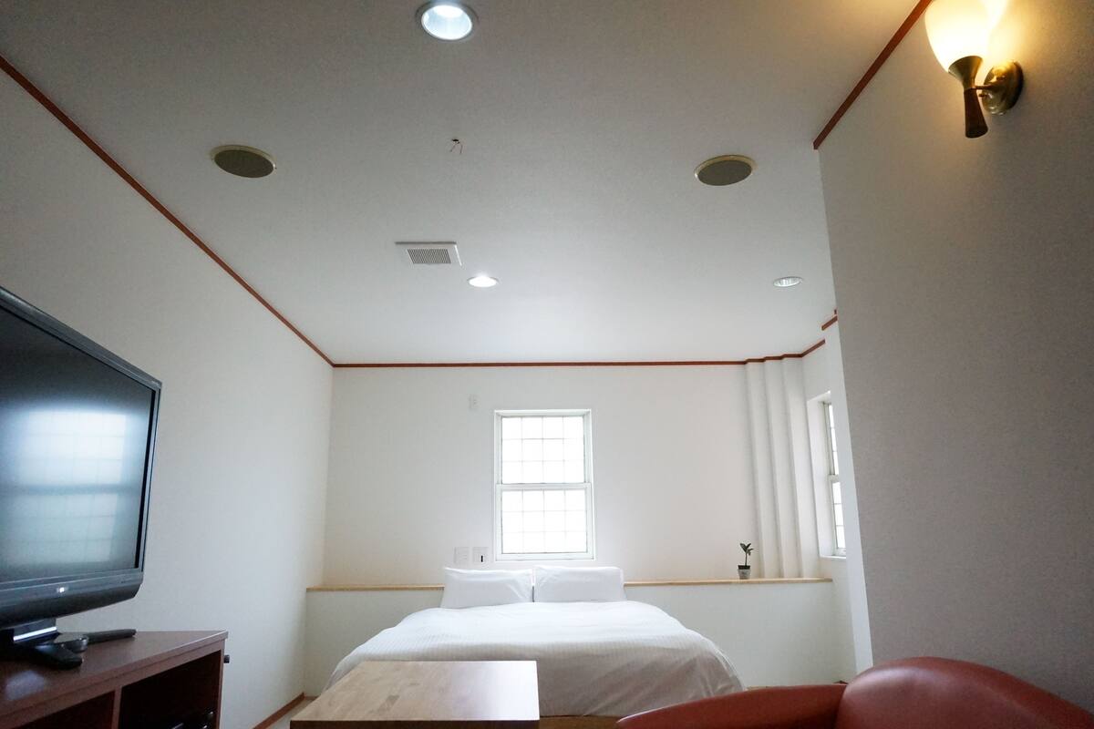Une chambre d’hôtel avec un lit, une télévision, une fenêtre et un luminaire au plafond.