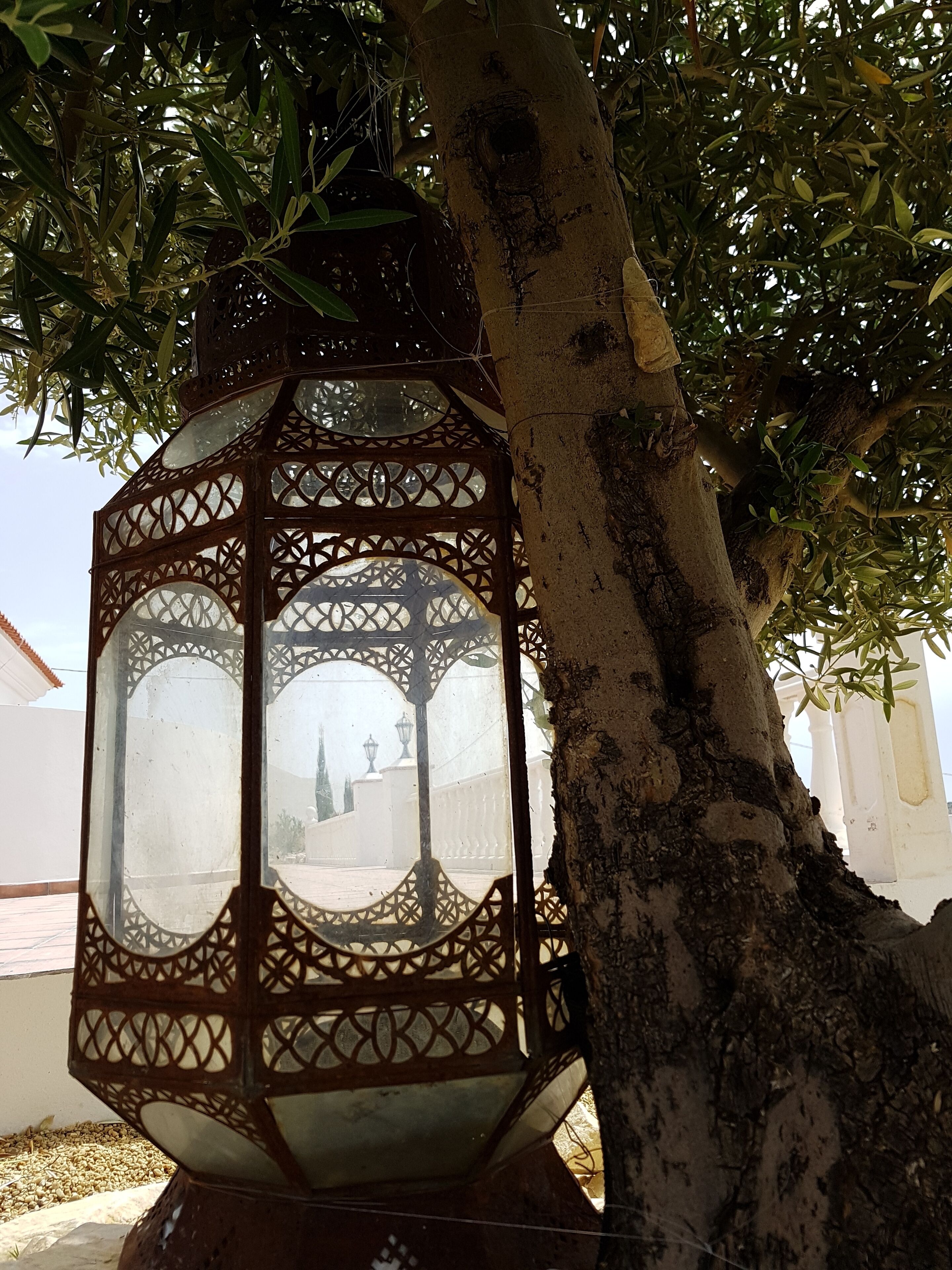 Un farol colgando de un árbol, con una vista de un edificio blanco y un puente al fondo.