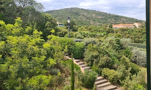 Un jardín con una escalera de piedra que asciende por una colina, rodeado de abundante vegetación y una montaña al fondo.