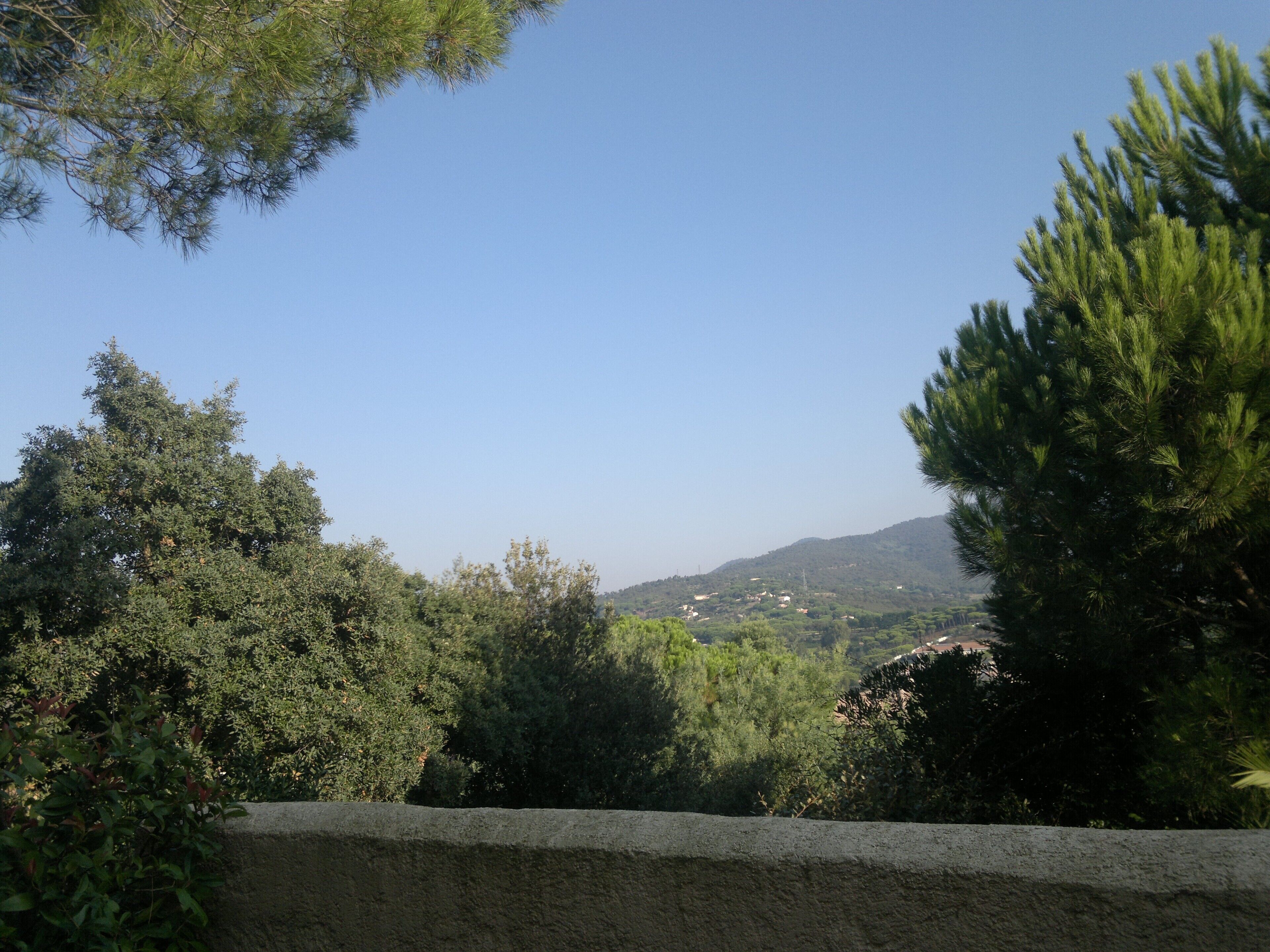 A view of a mountainous landscape with dense greenery and a clear blue sky.