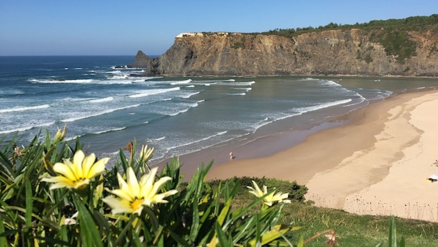 Una spiaggia con onde, una scogliera e fiori gialli in primo piano.