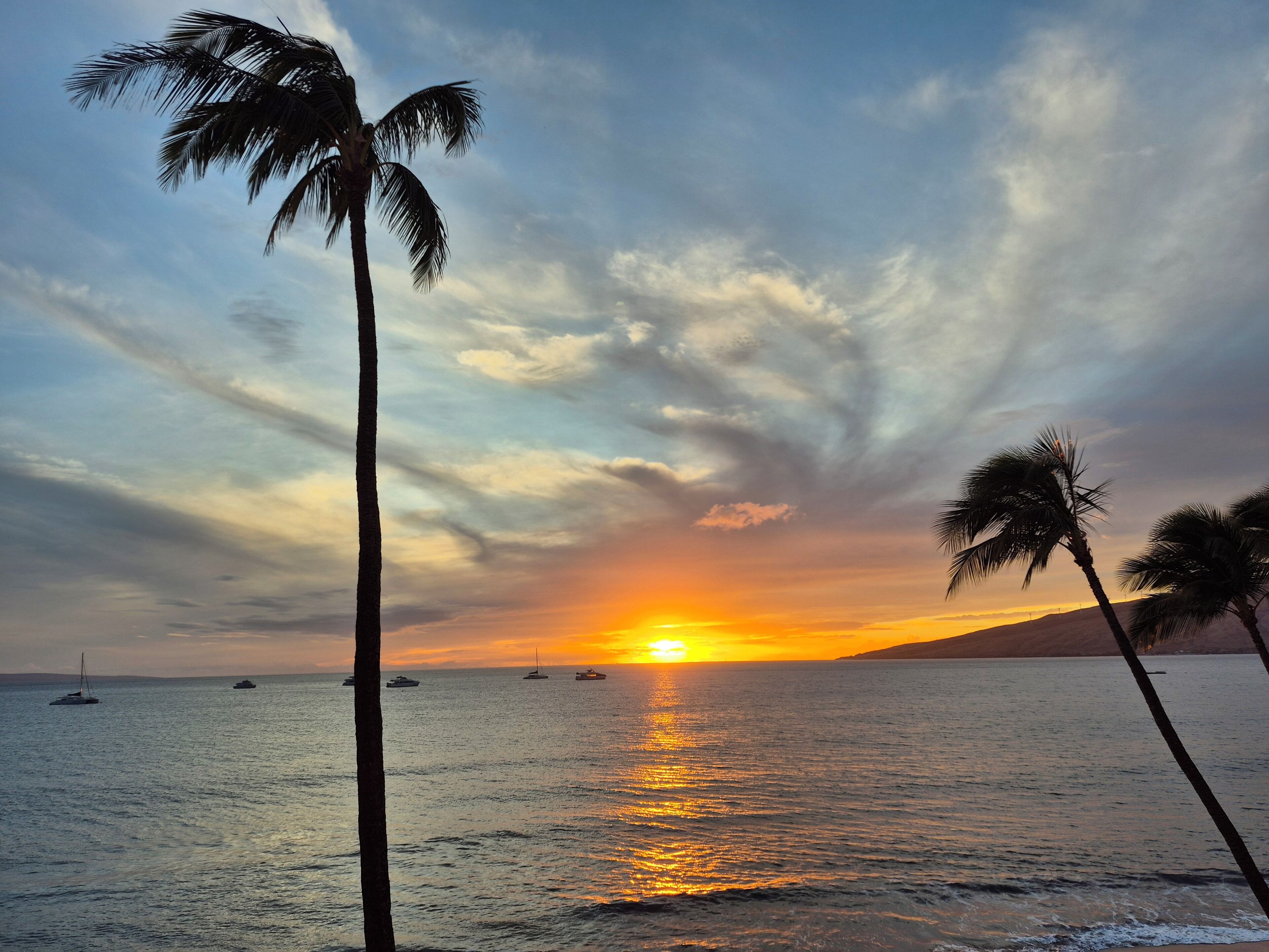 Atardecer sobre un mar tranquilo con palmeras y barcos.