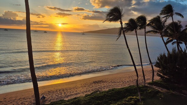 On the beach, sun-loungers, beach towels - DIRECT Oceanfront! Amazing Panoramic View Sugar Beach 236! Refresh, Relax, Enjoy (Kihei)