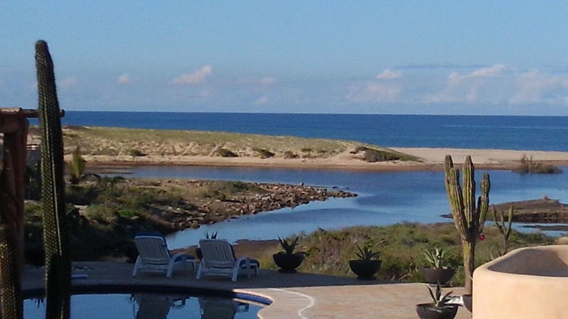 A pool area with lounge chairs, a cactus, and a view of the beach and ocean.