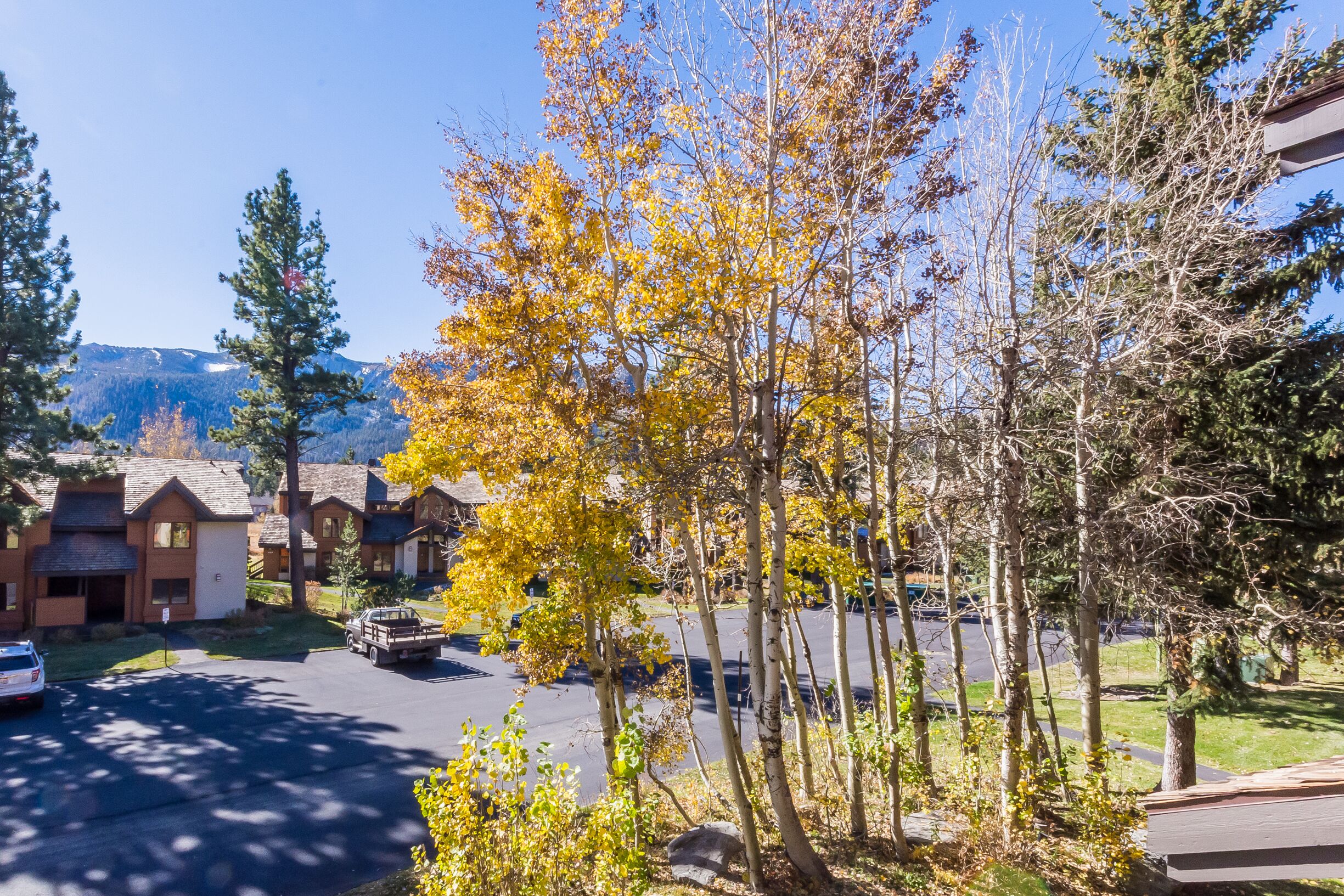 A residential area with houses, a driveway, and a truck.