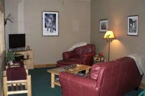 电视、DVD 播放器、音乐库、影片库