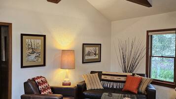 TV connectée, cheminée, lecteur de DVD, livres