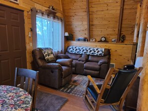 Smart TV, fireplace, DVD player, books