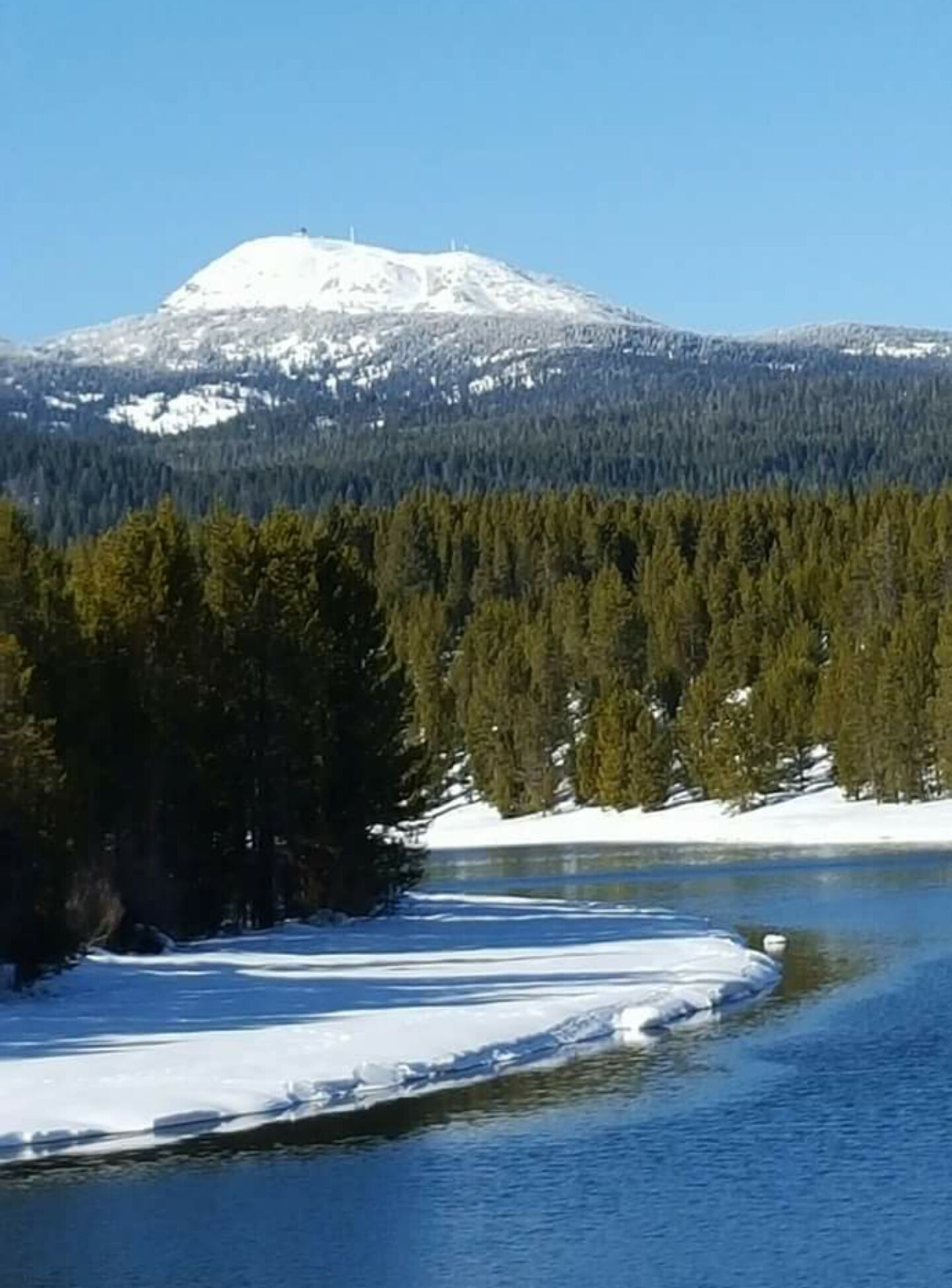 A snow-covered landscape with a mountain, dense forest, and a river.