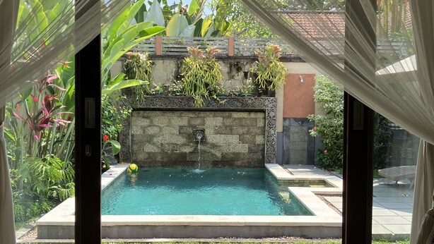 A view of a swimming pool with a stone wall and plants, viewed through a window with sheer curtains. - Beautiful, Peaceful Villa/Excellent Location/Wonderful Balinese Staff (Penestanan, Ubud)