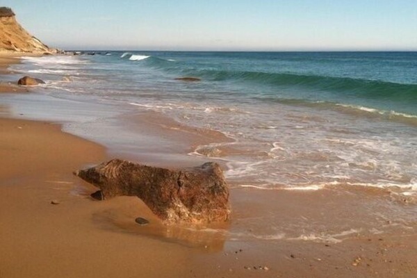 Walk to the beach and Clay Head Nature trails.